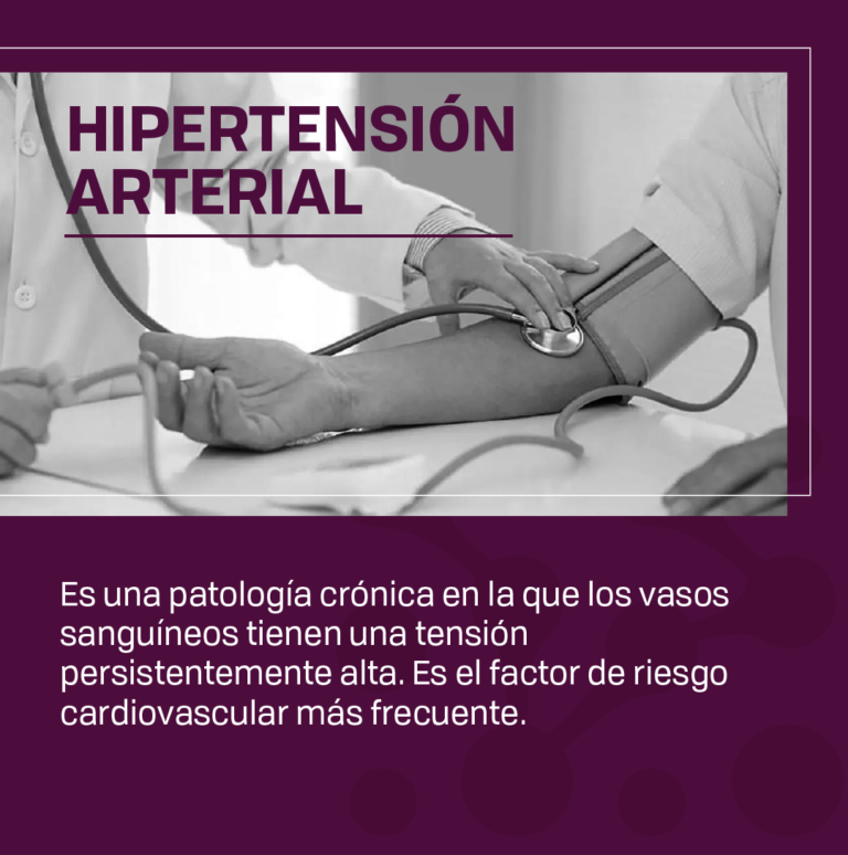 LARCHER - HTA y DBT_FEED_#2