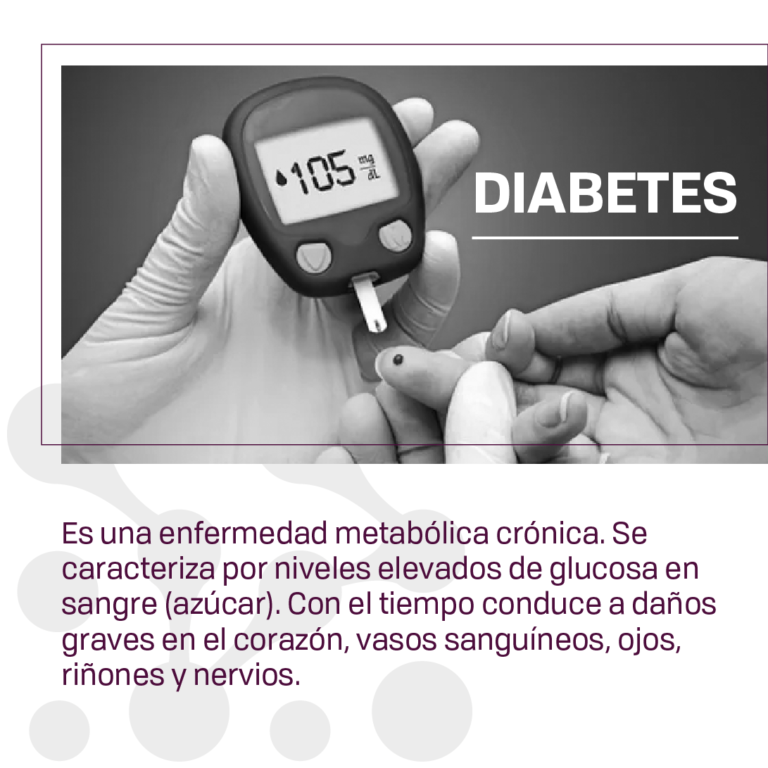 LARCHER - HTA y DBT_FEED_#3